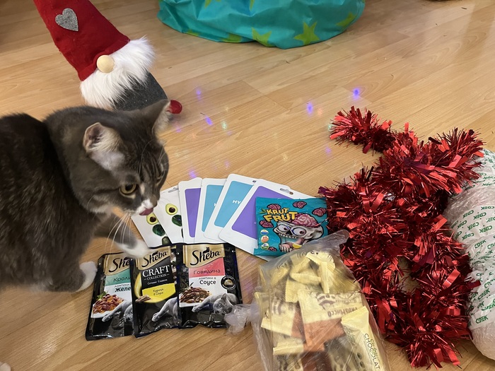 А это взятка котоинспекции!