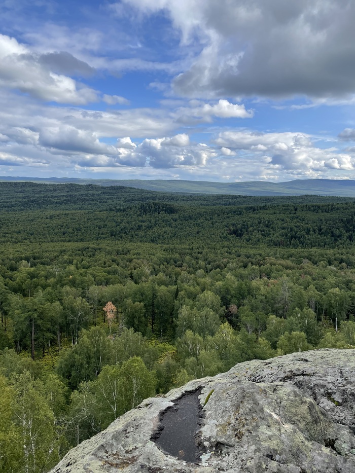 Зеленое море 2