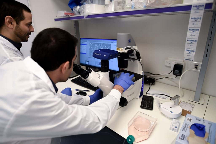 Wilk         (Courtesy)