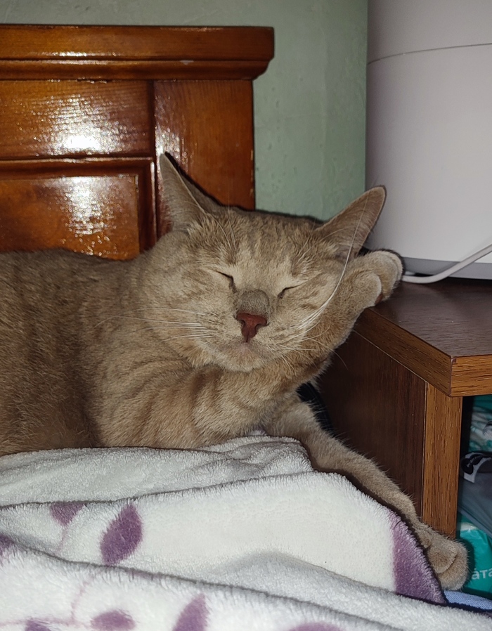 �� �� ���, � ������� ������, �������       ��������?