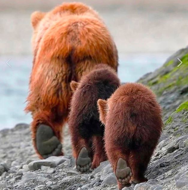 Когда на физ-ре учитель просит показать, точно ли у тебя сменка