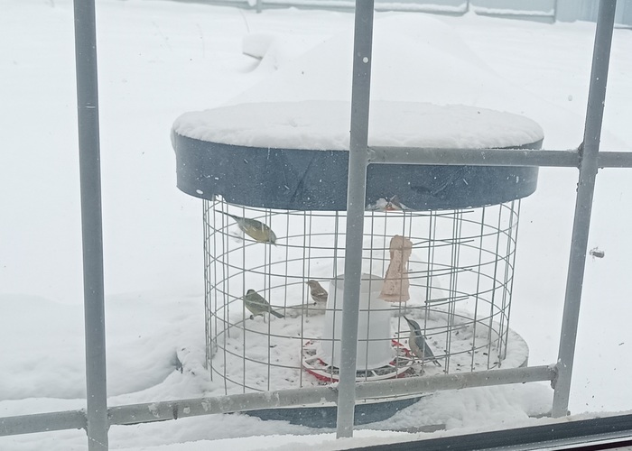 �����. �������, ������ � ���������.