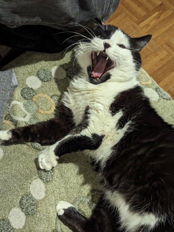 ��� �� � ��� �����������, ��� ��. 