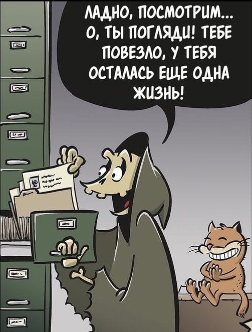 Везунчик | Пикабу