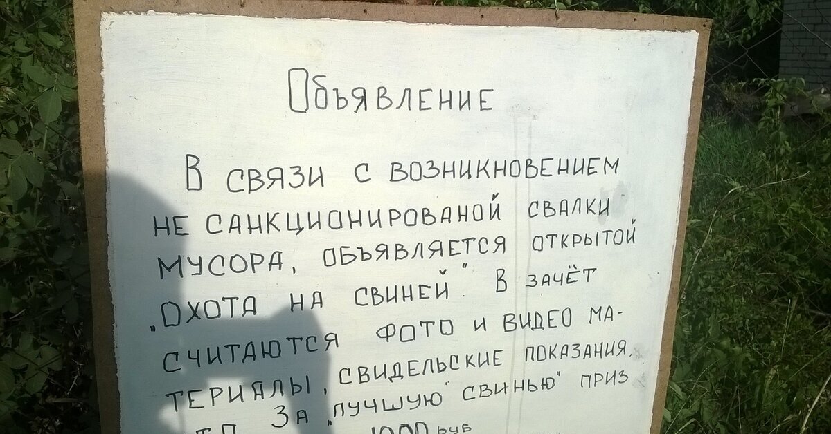 Любимая дача 3 | Пикабу