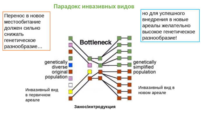    -   ? , , , , , , , 