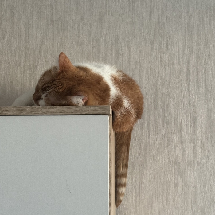 ��������� ����������