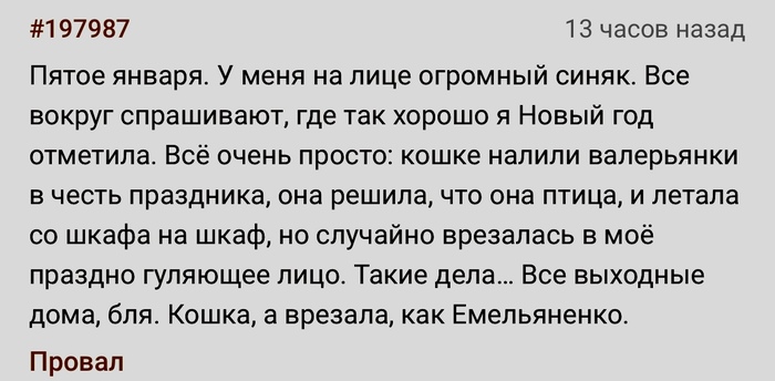 Кошка-Емельяненко