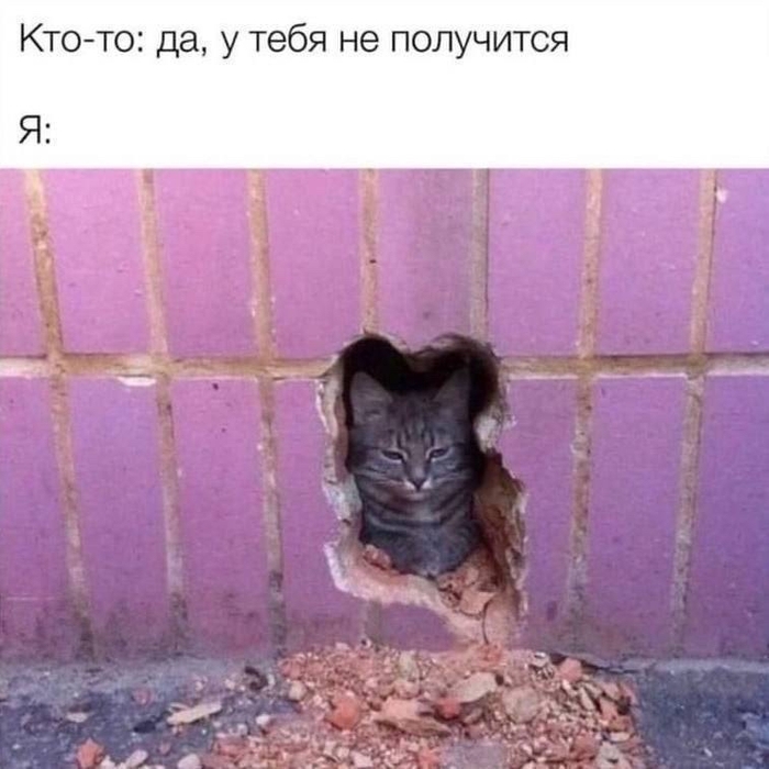 Нет ничего невозможного | Пикабу