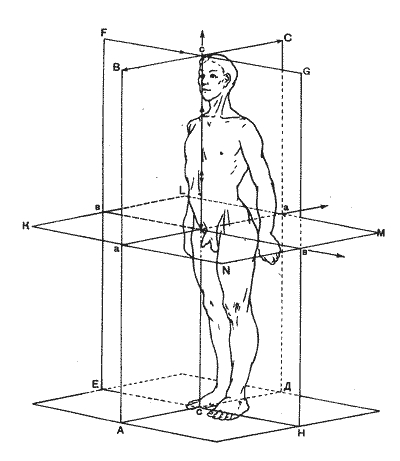 Все это как раз про симметрию тела и почему косолапить невыгодно