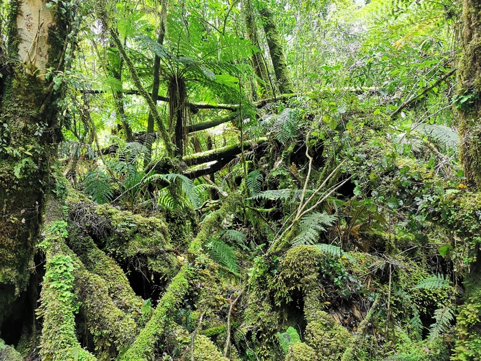 �������� ��� �� ���� �����