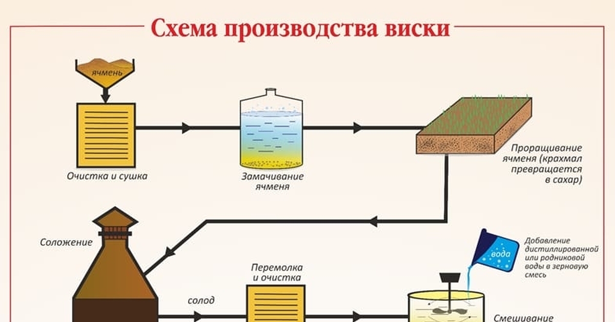 Производство виски технология. Схема производства виски. Схема производства шотландского виски. Производство виски. Легкая схема производства виски.