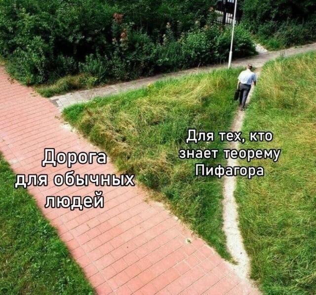 Математика в жизни...