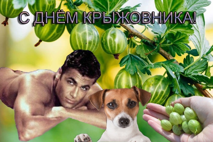 Поздравления | Пикабу