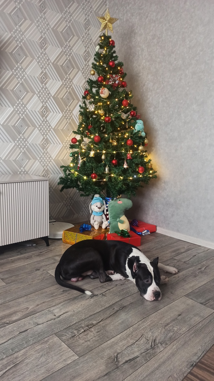 Грусть, тоска, печаль