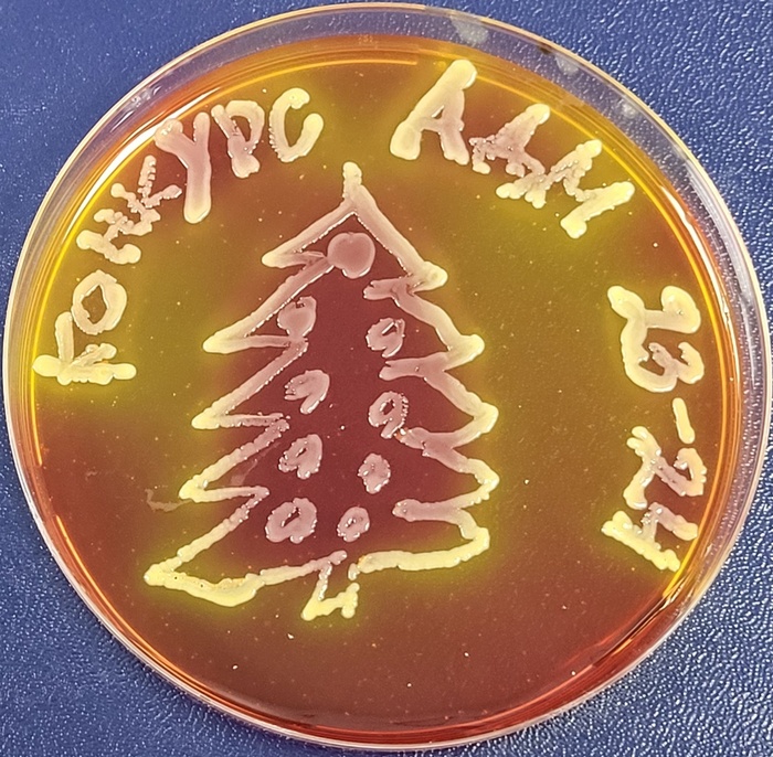 7) <a href="https://pikabu.ru/story/finalnoe_golosovanie_konkurs_yolok_na_adm_11007430?u=https%3A%2F%2Fpikabu.ru%2Fstory%2Fkonkurs_yolok_ot_adm_2324_10982789&t=ksuvet&h=8e26a7dc2765543c5360c97f6241dc6af861f077" title="https://pikabu.ru/story/konkurs_yolok_ot_adm_2324_10982789" target="_blank" >ksuvet</a>