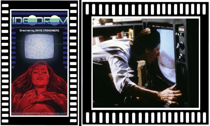  / Videodrome (1982) |  Bald Movies    , ,  , 