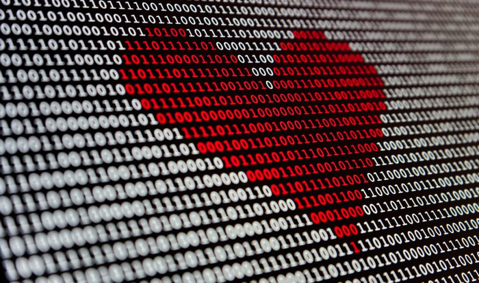  Zipper   ,  ,       (Unsplash)