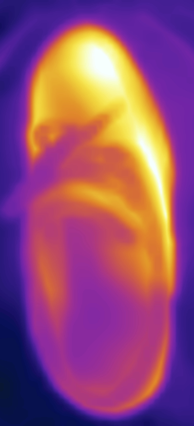 Мой старый ботинок. Температура после после разогрева в СВЧ печке от +26 до +63.