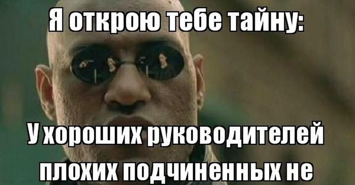 Нет это сделали вы. Хороший руководитель Мем. Мемы про начальника. Мемы про начальство и подчиненных. Высказывания про плохого начальника.