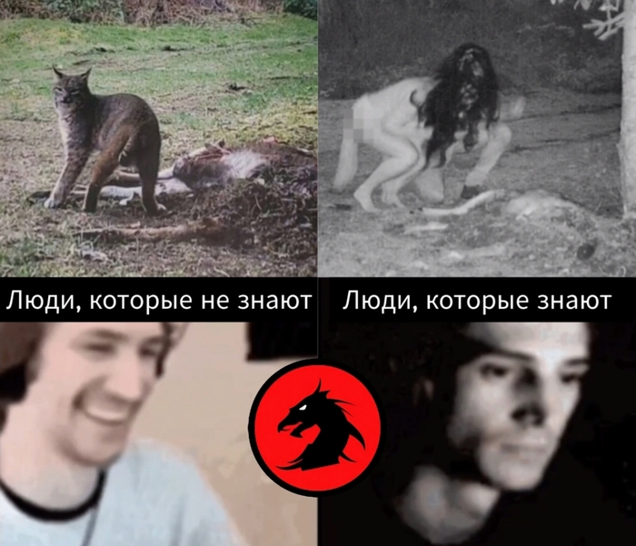  (  ) , , 