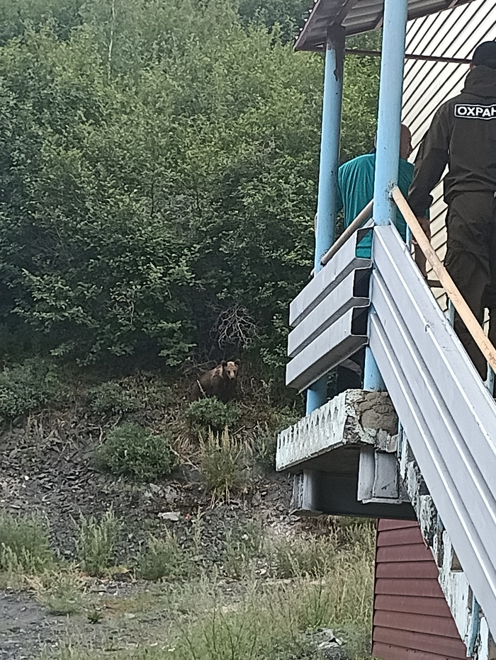 ������ ������� � ����� ��������, ������ ��������.