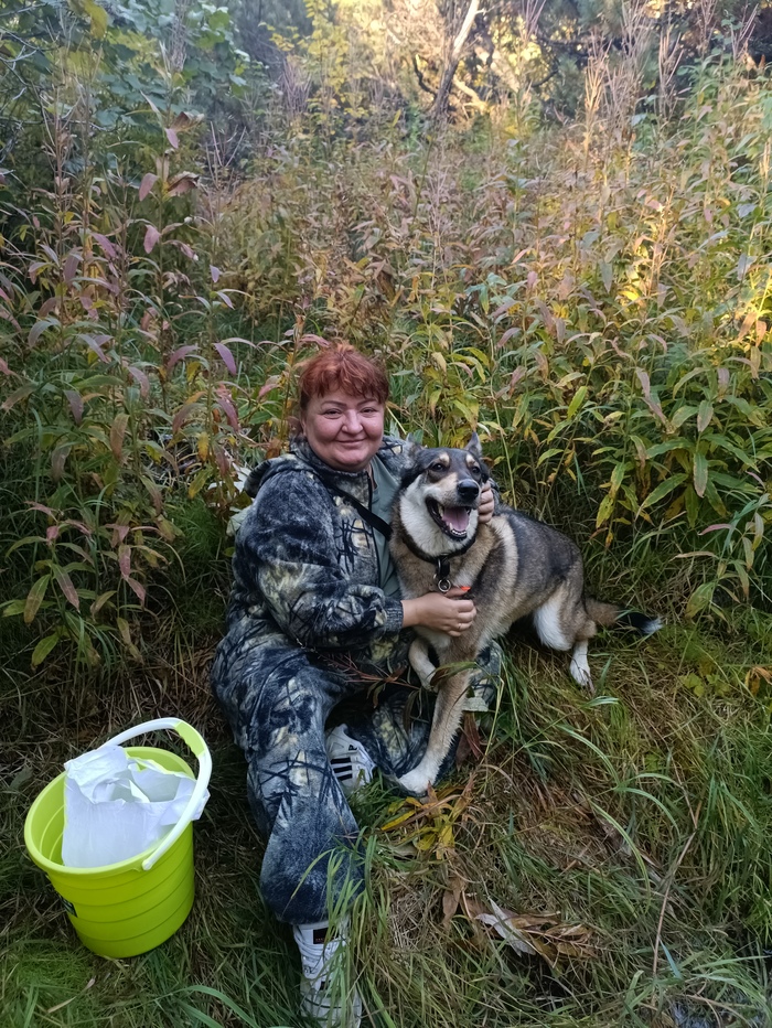 ���� ������