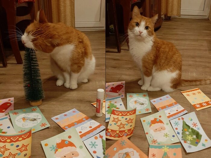 Новогодние приготовления.