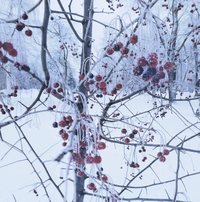 �� ������, ��� ������...