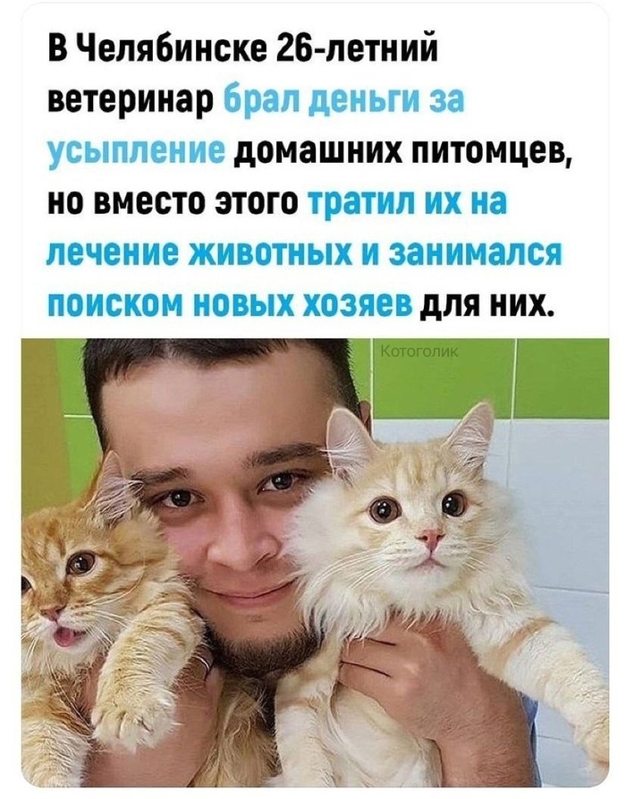 Федин котенок 1 читать