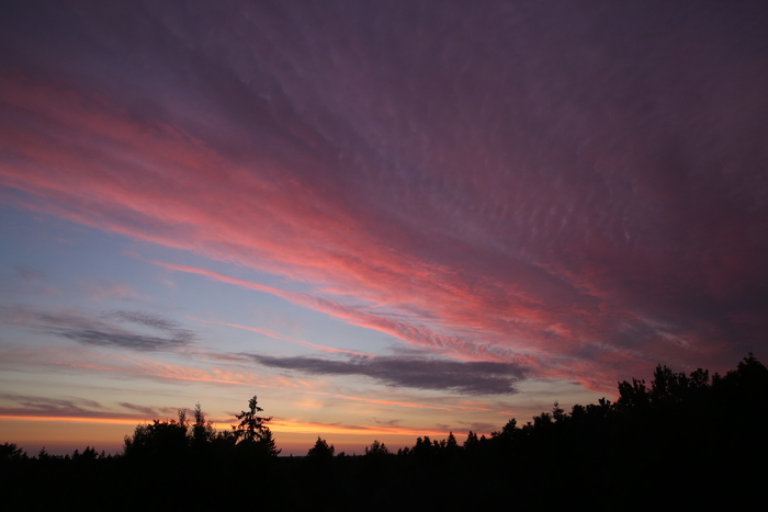 ����� � ������� ������� 2017 �.