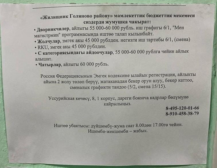 Просто объявление о работе | Пикабу