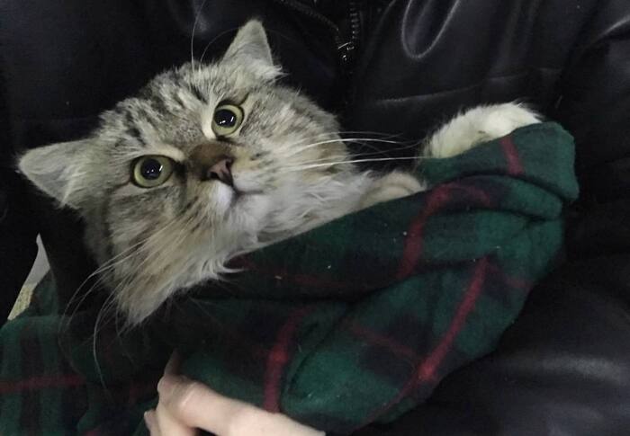 � ��� ��� ������� ���������