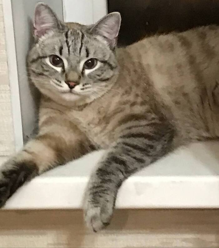 �� ���� ��� �����