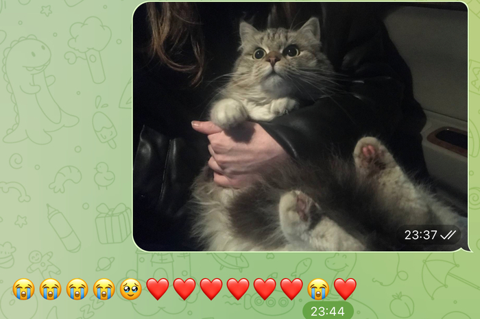 ��� ����� �� ���������