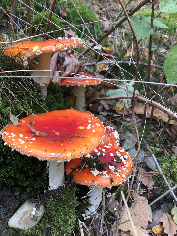 ��� ����-�� ���� ����!