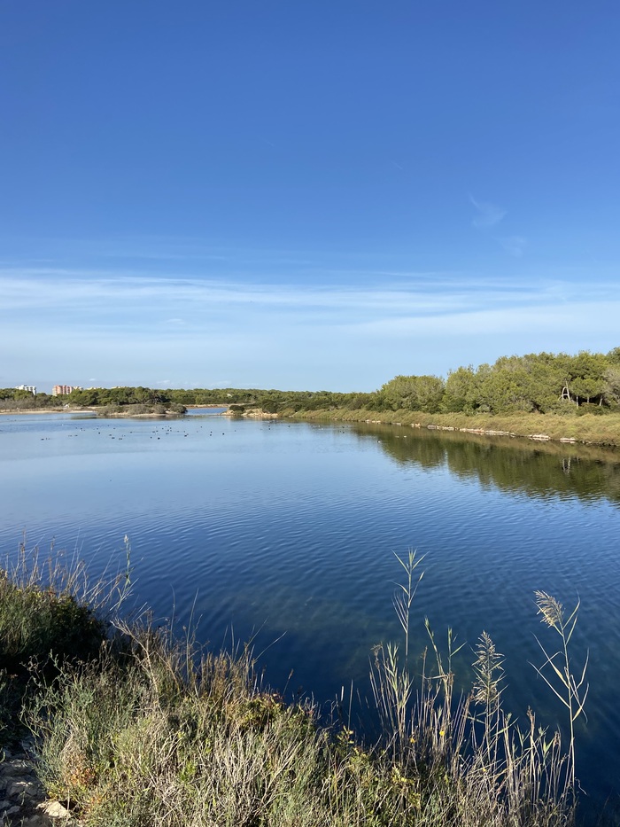 � ��� ����� � ���������)