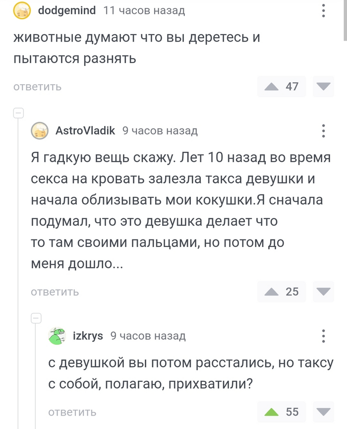 Я хочу трахаться | Случайные цитаты, Небольшие цитаты, Цитаты лидера