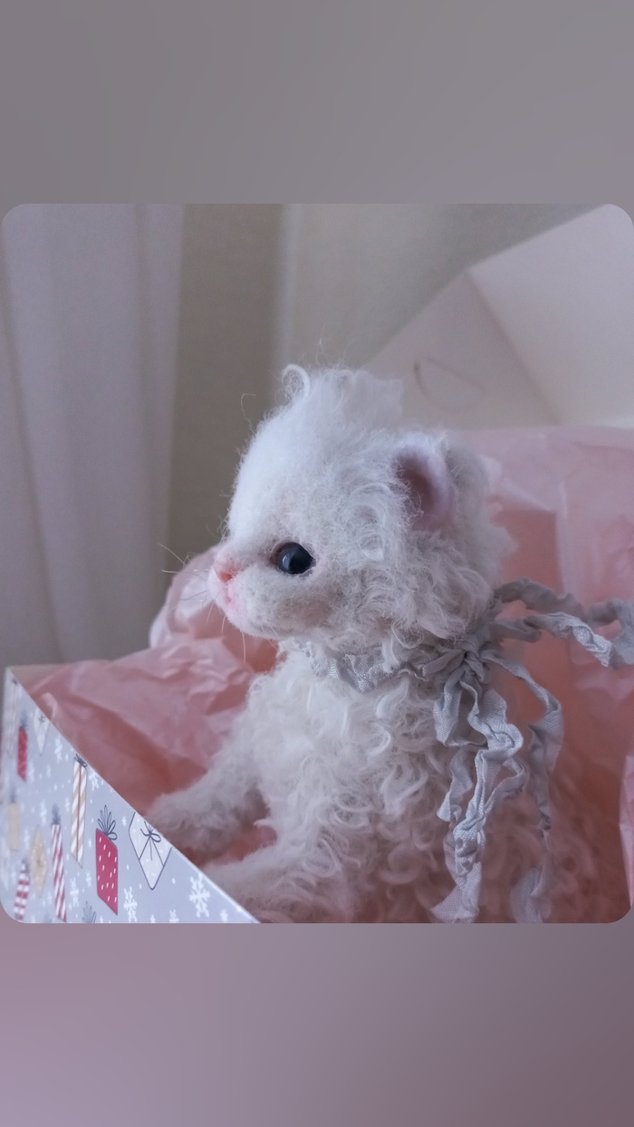 Белый котенок.