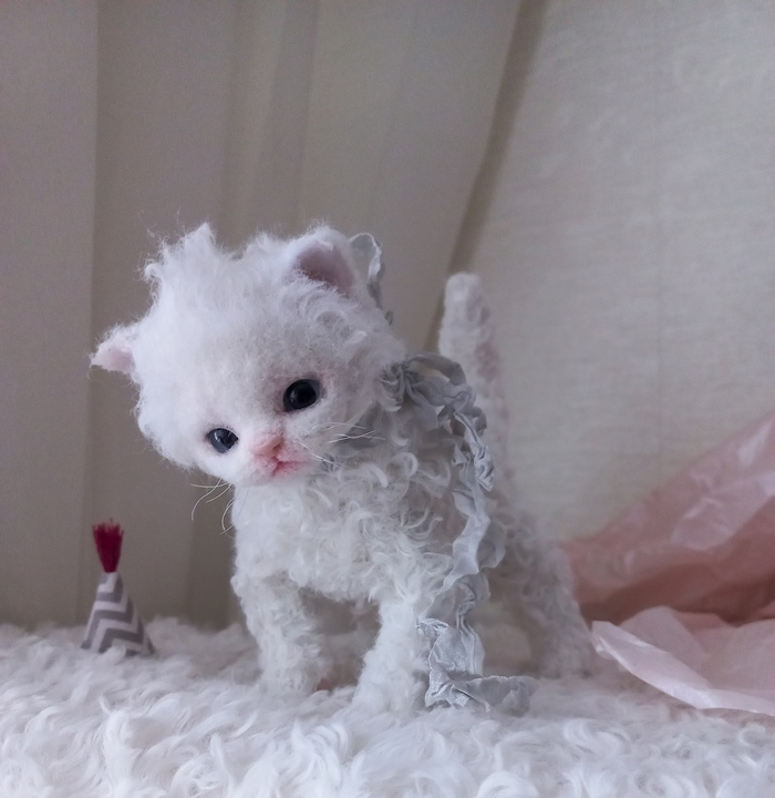 Маленький котенок.