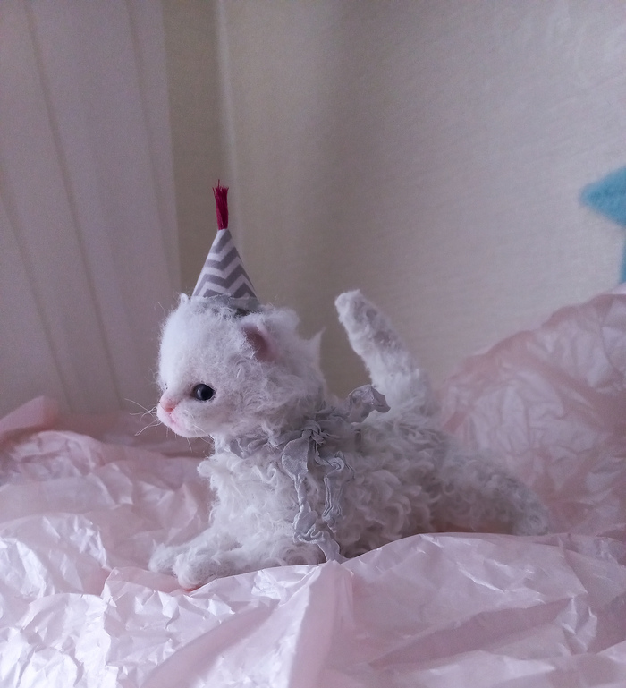 Все породы кошек.