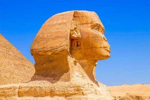   101 ,  , , Telegram ()
