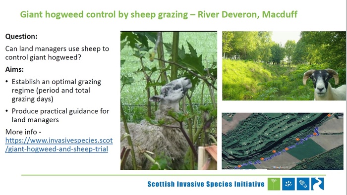  "    ".    ,       .