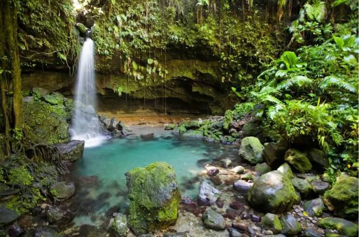 ������ ���� � �������