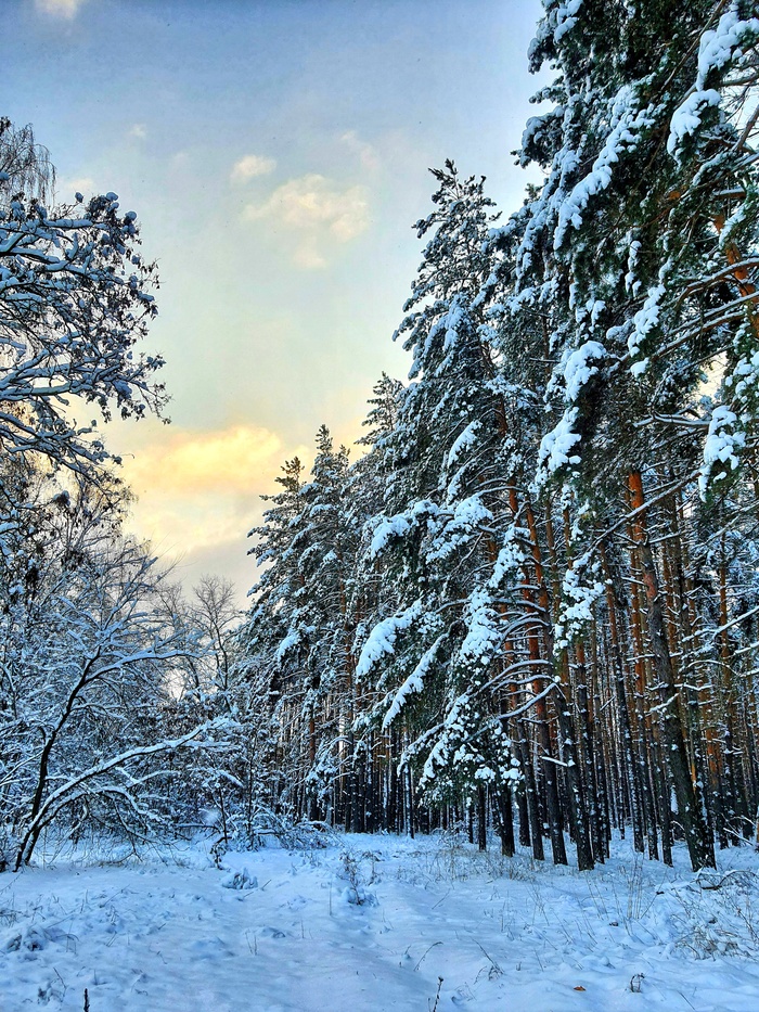 Зимняя красота