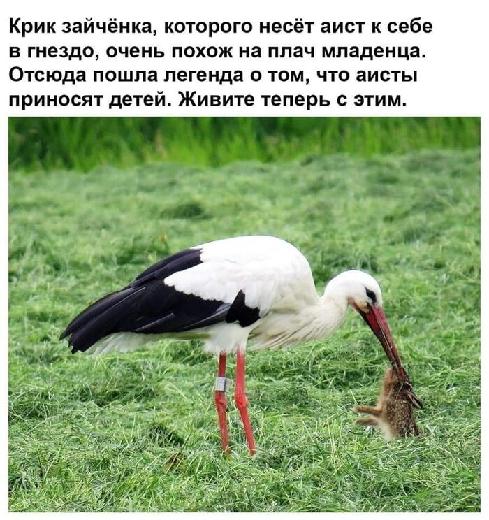 - , , ,   