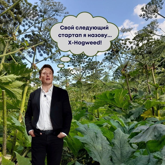 -10   ! , , , ,  ,   , , , 