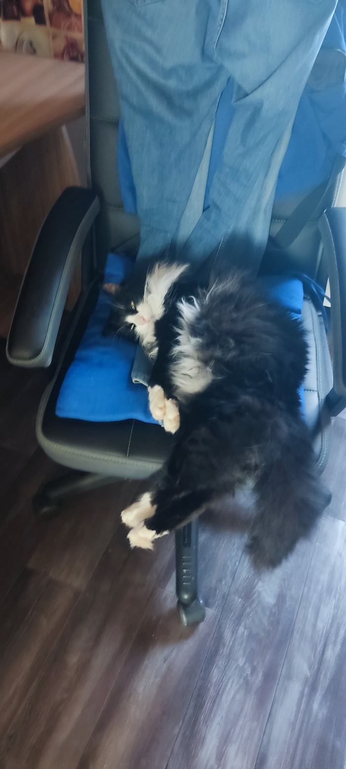 ����� ����� �� ���� ������ ������������ ������.