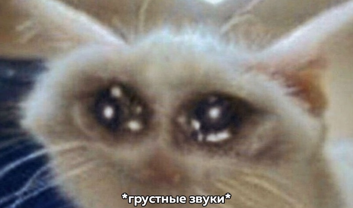   ... Cs:16,   ,  , 2000-