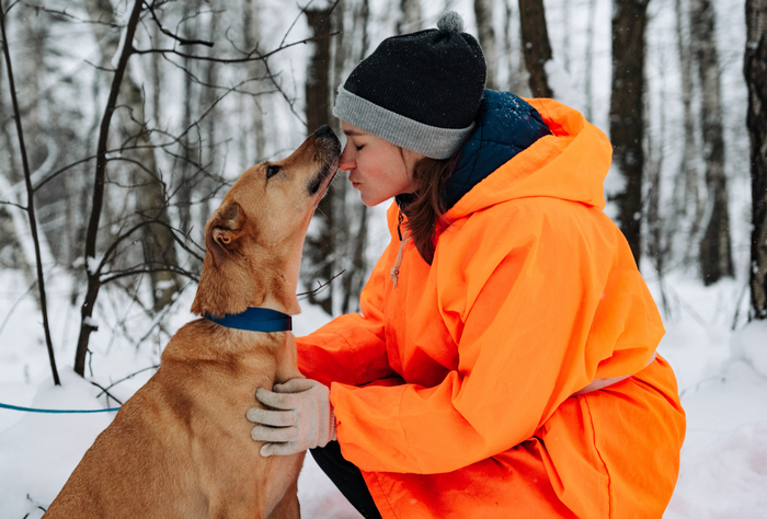 ���� ����� ������, ���������� � ���������. ��������� ������ ��� ����� � ��� ����� � ������. 